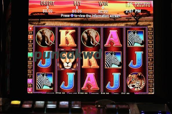 puncakwd Slot Rooms Built for Your Lobby