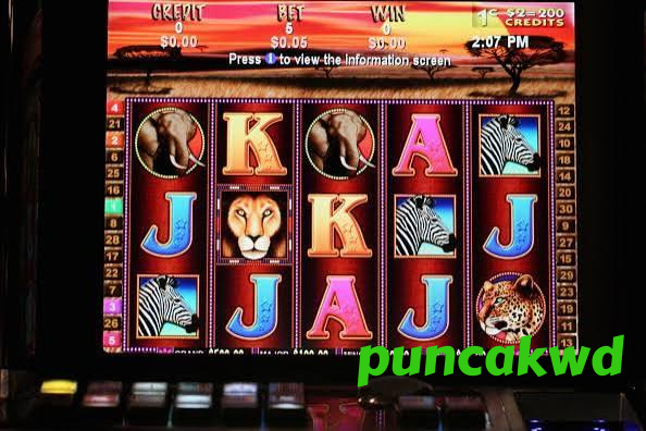 puncakwd App – Casino in Your Pocket